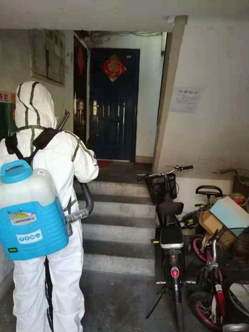 深圳室內(nèi)消毒滅菌服務(wù) 專業(yè)守護(hù)家居、校園與商業(yè)空間的健康環(huán)境
