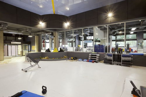 上海松江區運動用品工廠與賽事策劃資源概覽